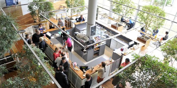 Quelles compétences pour devenir acteur de la transformation durable des business models des entreprises ?