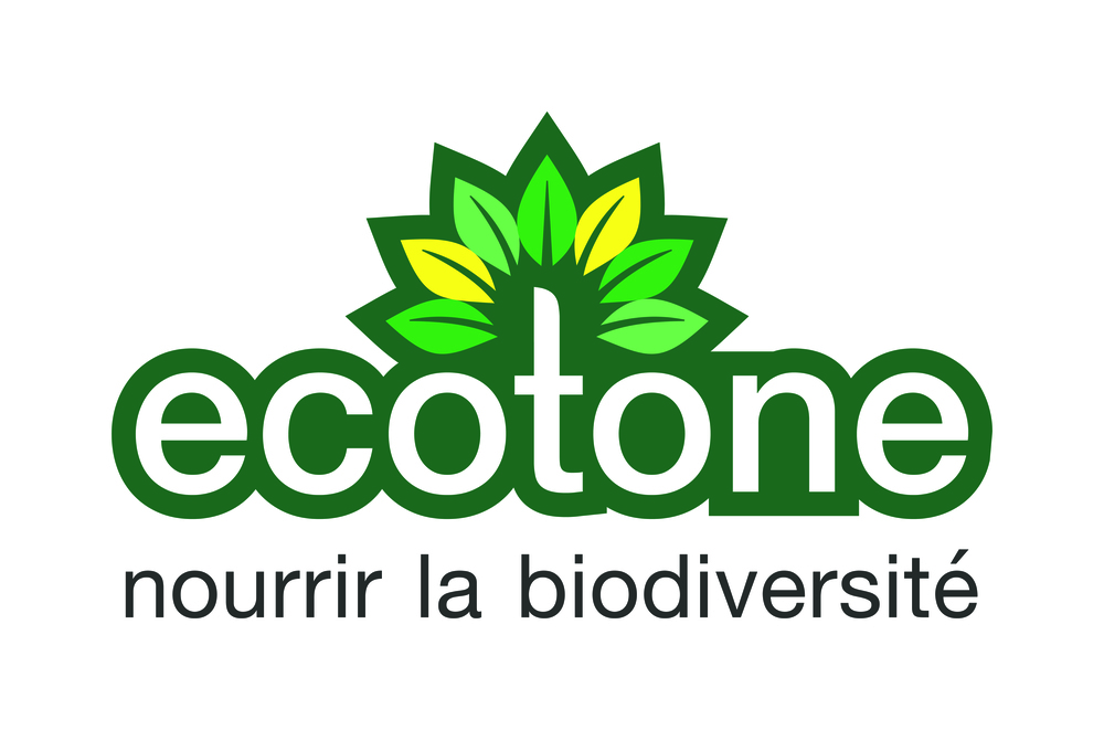 Demand planning / Prévision des ventes (stage) H/F