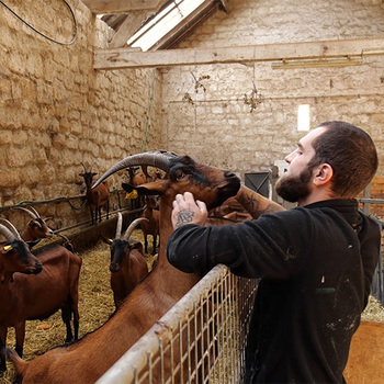 La Ferme de Moyembrie