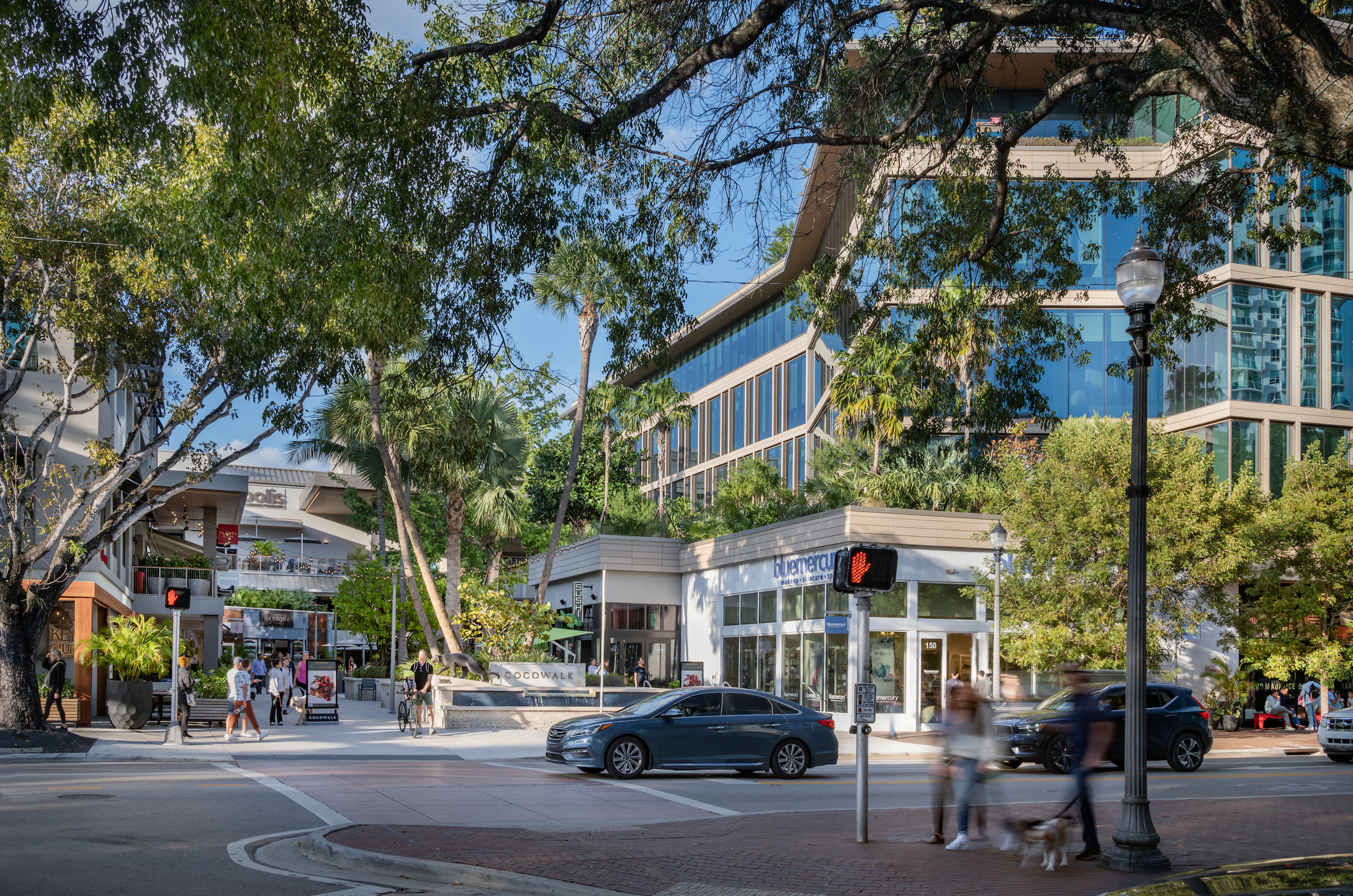 Tour Guide to the Grove: Where to Go & What to Do During EDIT SwimShow x Curve 🌴✨