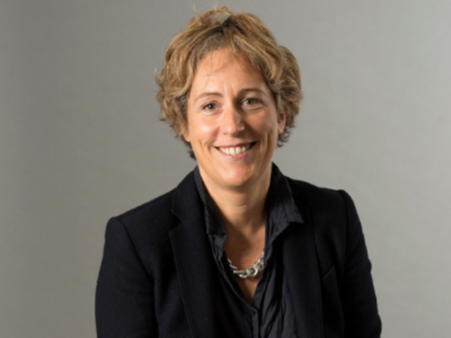 Sole Cionnini Ciardi