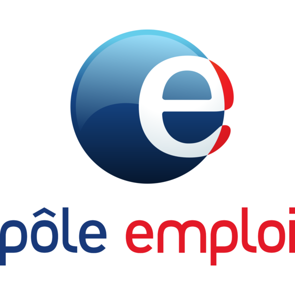 Fabrice MILLON-DESVIGNES