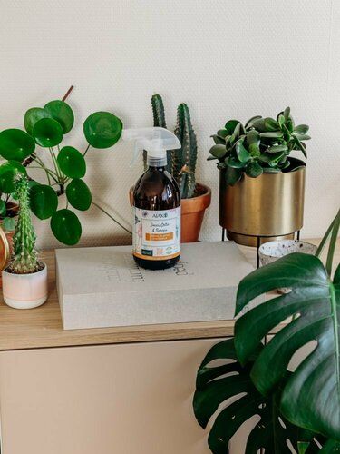 Spray Souci, Ortie & Sureau - Spécial Plantes d'intérieur