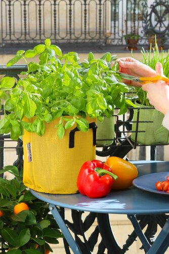 Le pot de plantation respirant français