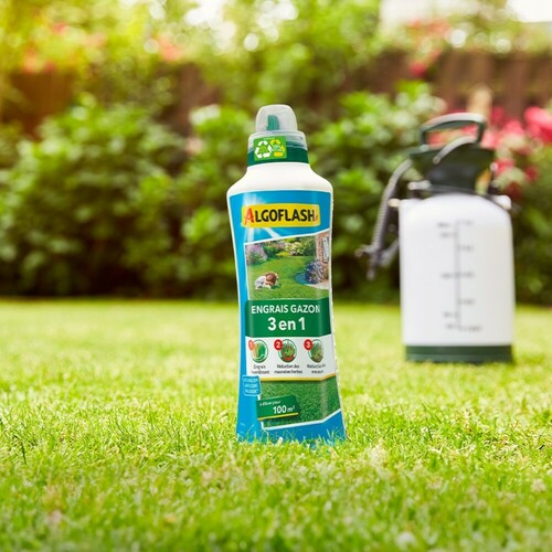 Engrais liquide Gazon 3 en 1 Algoflash