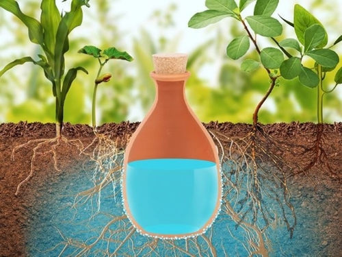 Oyas, chantepleure, arroseurs pour plante