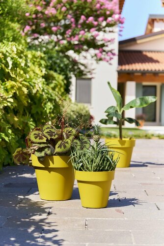 Mitu Pac rond pot avec des trou | Collection Mediterraneo