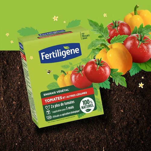 L'ENGRAIS VEGETAL TOMATES ET AUTRES LEGUMES