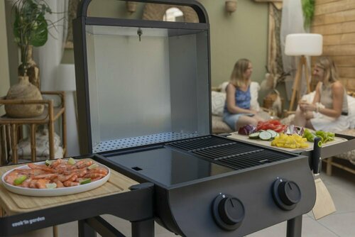 BARBECUE FLAVO 50 ELEC SC - EL004T