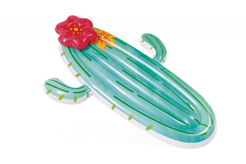 MATELAS CACTUS