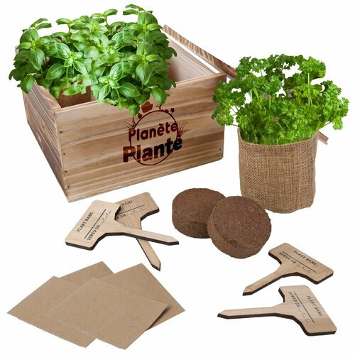 Ma 1ère Jardinière - Planète Plante