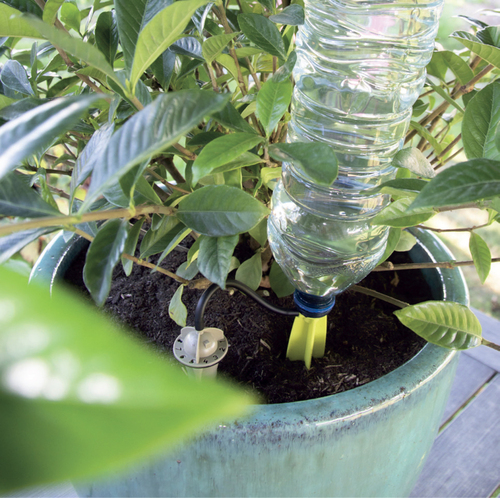 Goutteur sur pied pour arrosage régulier – IRISO