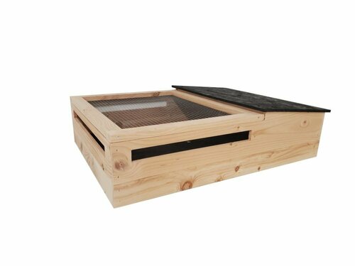 TERRARIUM TORTUE