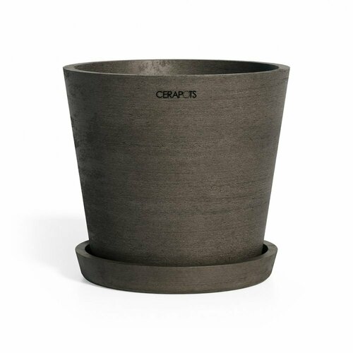 Onku 35 Sepia