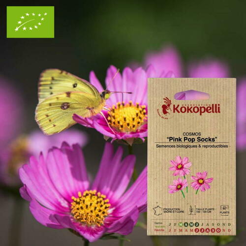 Gamme de semences de fleurs biologiques