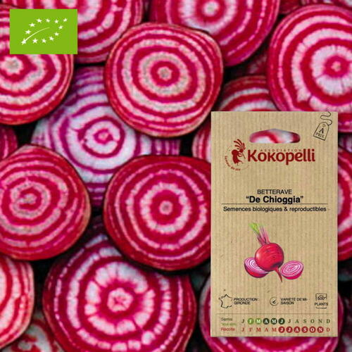 Gamme de semences de légumes biologiques