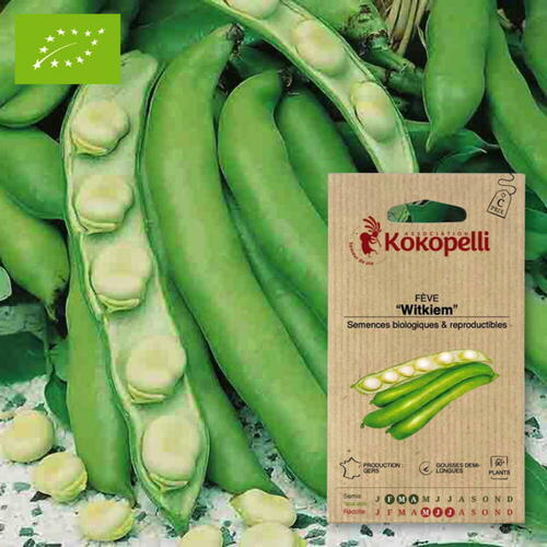 Gamme de semences de fèves, pois et haricots biologiques