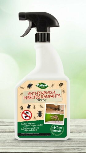 SPRAY ANTI-FOURMIS & INSECTES RAMPANTS