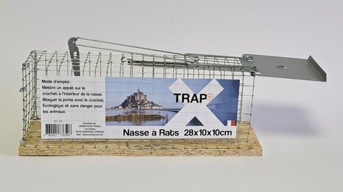 NASSA A RATS SOCLE BOIS 1 ENTREE