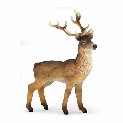 Cerf
