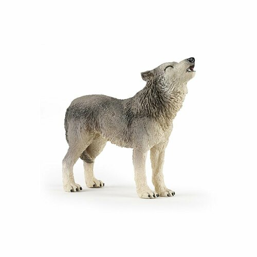 Loup hurlant