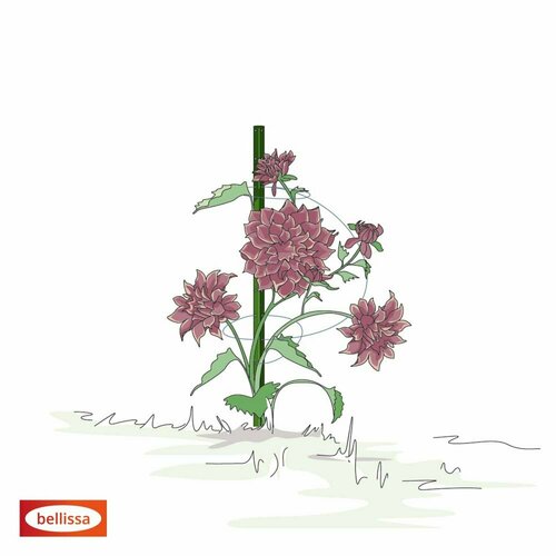 Tuteur de plantes » Timo « 100 G