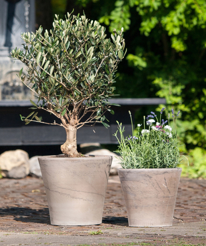 Terrecuite "Basalt"