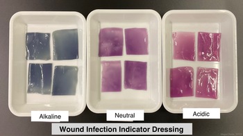 Wound infection indicator dressing