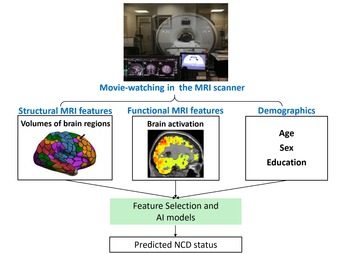 Naturalistic, language-based fMRI Task with AI Technologies for detection and prediction of neurocognitive disorders (NCDs)