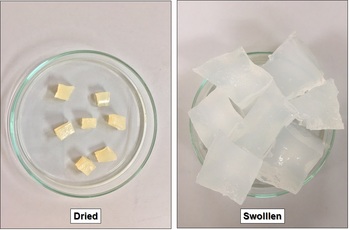 Super water absorbent technology