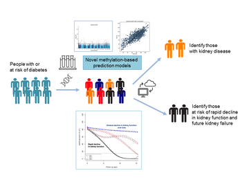 Methylation models for kidney function and future risk of kidney failure