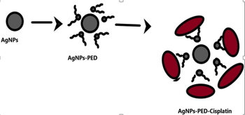 Process for preparing a product to be applied in optimized chemotherapy of pancreatic neoplasm