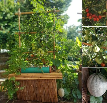 MEAPLANT (mission easy agriculture)