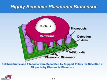 Design and nanofabrication of highly sensitive plasmonic sensors for biomedical cell and molecule detection