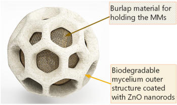 ECOSPHERE (Remediation of Microplastics by Combination of Microbial Mats and ZnO Nanomaterial)