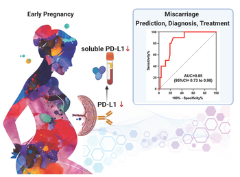 Advancing miscarriage prediction and diagnosis by blood level of soluble PD-L1