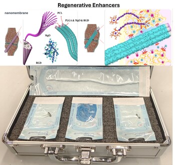 Regenerative enhancers (Mag Med Biotech)