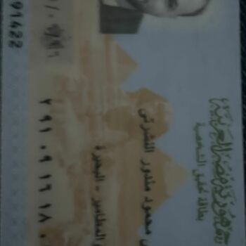 Mahmoud Moustafa Mandour