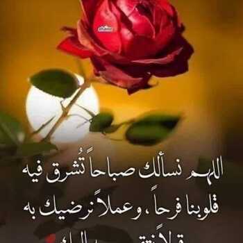 Kinda daher Alfashtaki