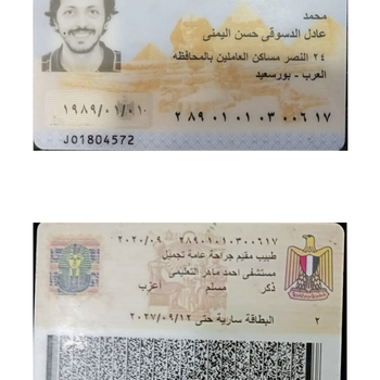 Mohamed Adel El-Desouky Hassan El-Yamani