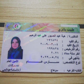 Heba Abdelsabour ali