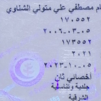 Wessam Mostafa Elshenawy