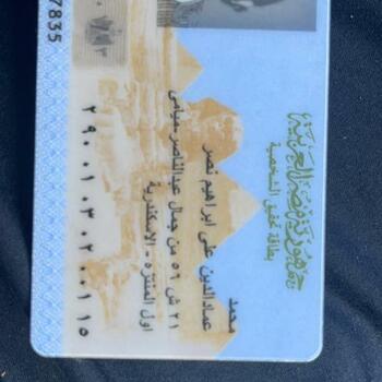 Mohamed Emad El Din Ali