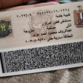 Randa El sayed Mahgoob