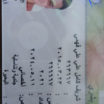 Sherif Kamel Ali Ali fahmy