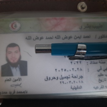 Ahmed Ayman AwadAllah