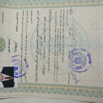 Mohammed Shaban Elkholy