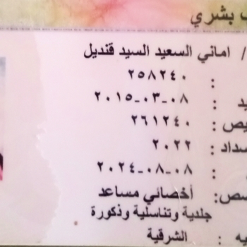 Amani elsaeed Elsayed