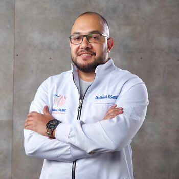 Ahmed Lotfy El Gamal