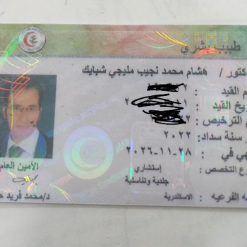 Hisham Mohamed shabaiek